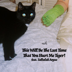 This Will Be The Last Time That You Hurt Me Tiger!