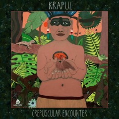 Metaphyz & Krapul - Mad Fauna Orchestra -