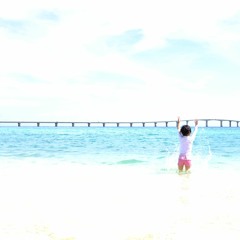 海