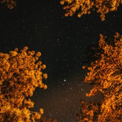 this world's beyond saving feat. passafiume & machona daytona