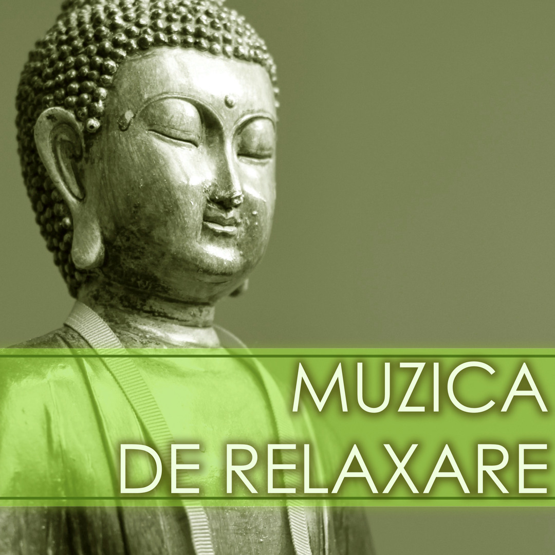 MUZICI DE RELAXARE visual data 7