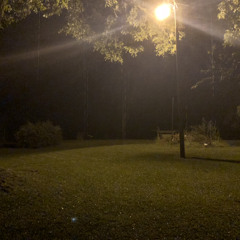 nights