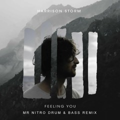 Harrison Storm - Feeling You (Mr Nitro DnB Remix)| Free Download