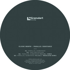 Parallel Substance (P.E.A.R.L. remix)