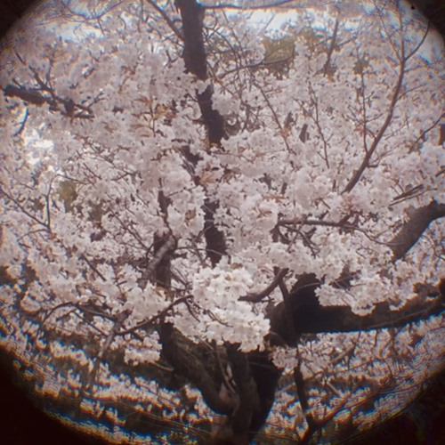 Good day remake (Nappy roots)