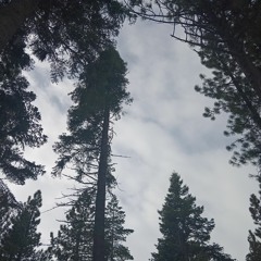 All Original Mix Vol.1