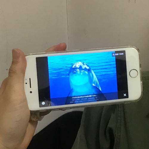 いちごの唄 弾き語り
