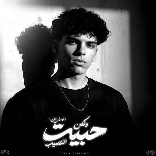 حبيت ولكن النصيب ليه رأي تاني