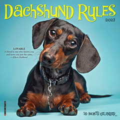 [GET] EPUB ✔️ Dachshund Rules 2023 Mini Wall Calendar by  Willow Creek Press PDF EBOO