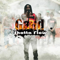 Gaud - Shotta Flow ( Remix )