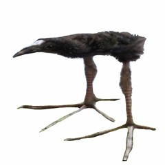 would that i - hozier (cover)