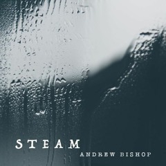 Andrew Bishop - Steam