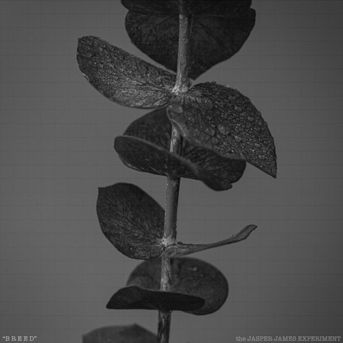 Breed (Nirvana Cover)