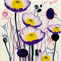 Be Flower(Just Be There)