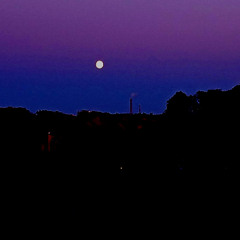 Wisp Away