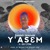 Artwork for Yasem