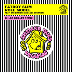FATBOY SLIM レコード　original Fatboy Slim レコード 2LP - メルカリ