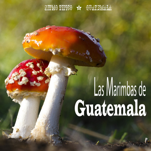 Stream Las Marimbas de Guatemala Listen to Ritmo Tipico Guatemala