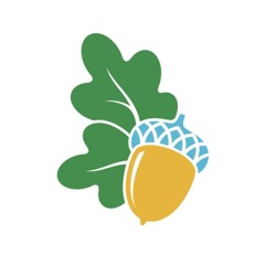 Reflections on keeping a Fatigue Diary