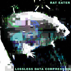 L0SSLES DATA C0MPRESSION