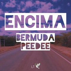 Encima - Bermuda Peedee