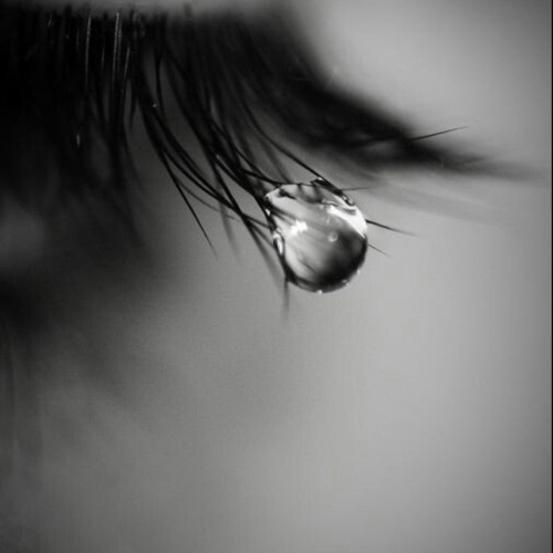 Nước Mắt (T.E.A.R) – Rock Version