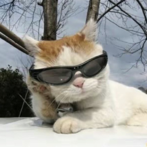 Purring [prod. bapekash]