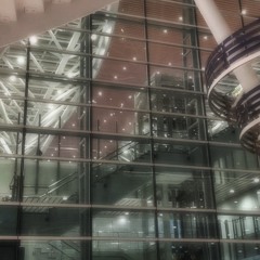 gondobetter feature brando