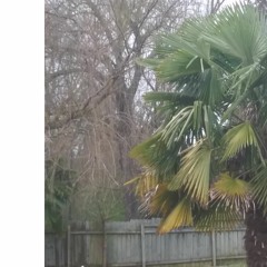 OhsoVasi - "GG" prod.Vasi