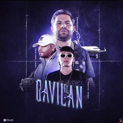 El Gavilan (JGL 3) - Luis R Conriquez x Tony Aguirre x Peso Pluma