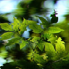 drip - Migos (PANDO! X RAMO Flip)