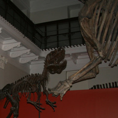 BAGS X ARE YOU BORED YET? - Wallows, Clairo Mash Up