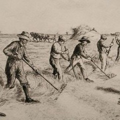 Ik ben van den buiten