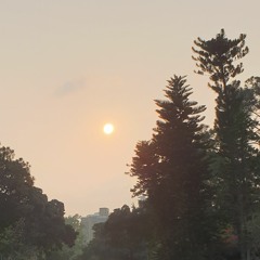 Michael Jackson - We've Got Forever (2020 Remix)