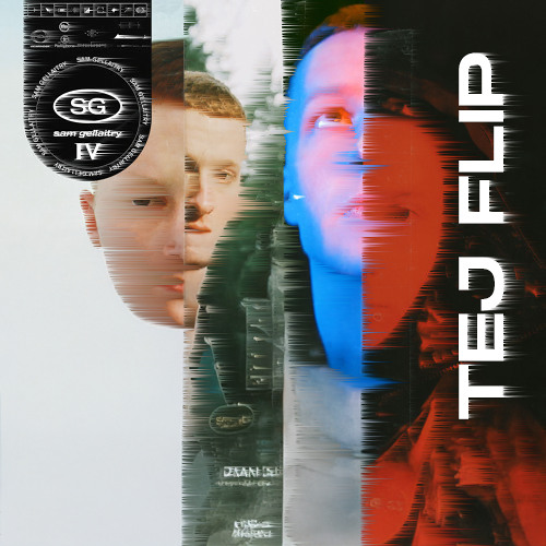 Sam Gellaitry - ASSUMPTIONS (TEJ FLIP) [FREE DL] [CROPPED]