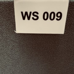 Ws009