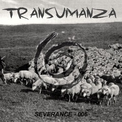 Transumanza - 006