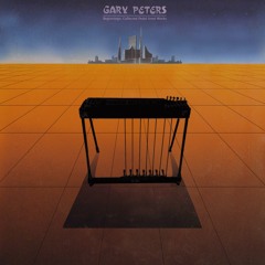 Gary Peters - The Beginning