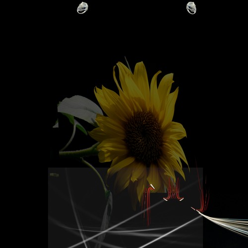 settling down with a friend