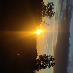 Sumpfhäx Lunaria 2024