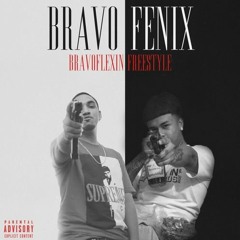 Fenix X Bravo- Bag (unreleased)
