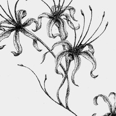 Fuji yuki Orient  x  R.music