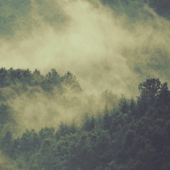 Lunchtime with the forest spirits