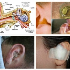 Ear Infection Adults Symptoms Treatment