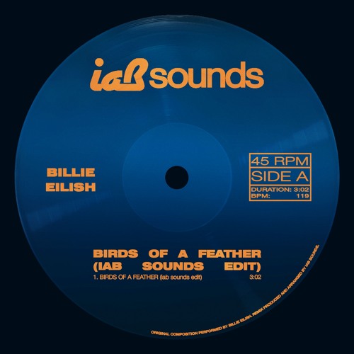BIRDS OF A FEATHER (iab sounds® edit) - Billie Eilish