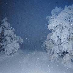 lost in the snow