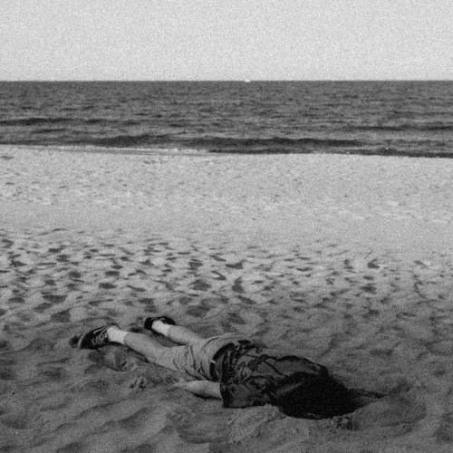 truchło na plaży