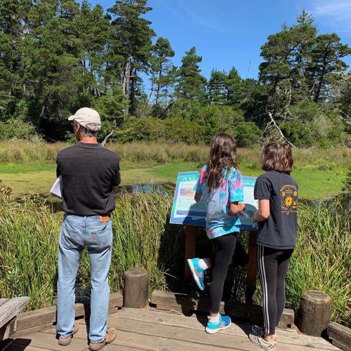 Stream episode Oregon Coast Quests ClueDriven Coastal Adventures by