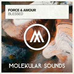 Force & Amour - Blessed