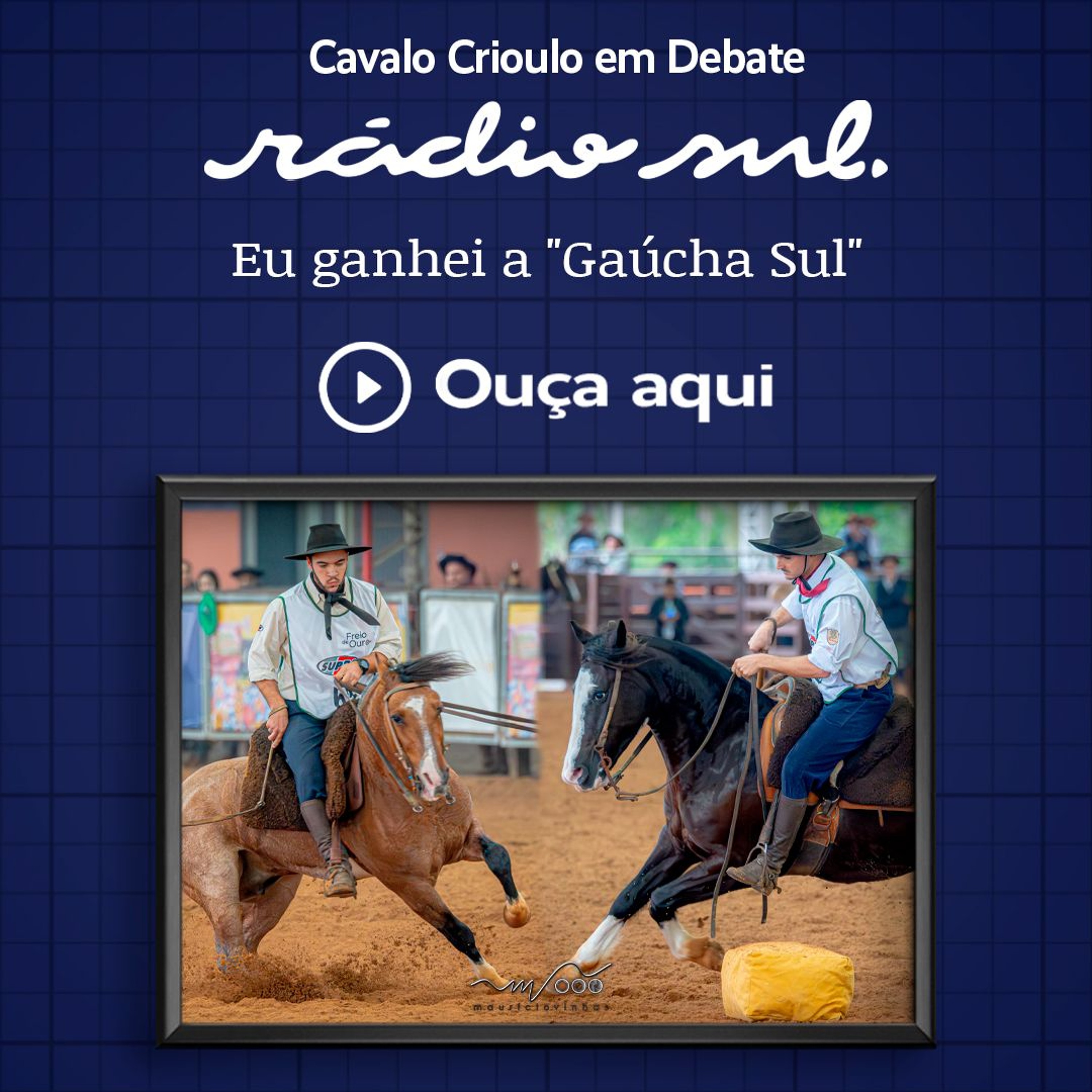 Radiosul.net